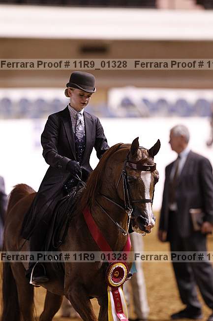 Proof 11r9_01328