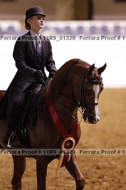 Proof 11r9_01329