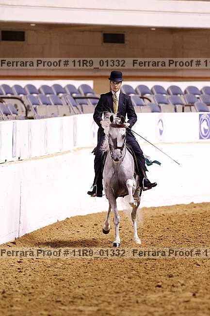 Proof 11r9_01332