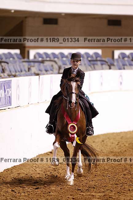 Proof 11r9_01334