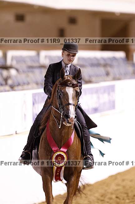 Proof 11r9_01337