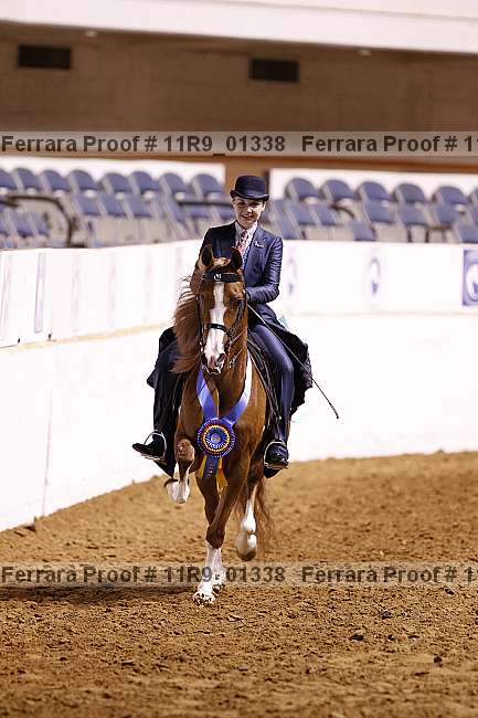 Proof 11r9_01338