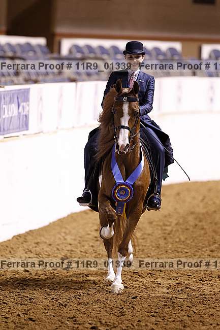 Proof 11r9_01339