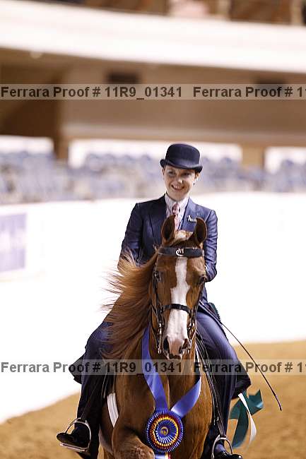 Proof 11r9_01341