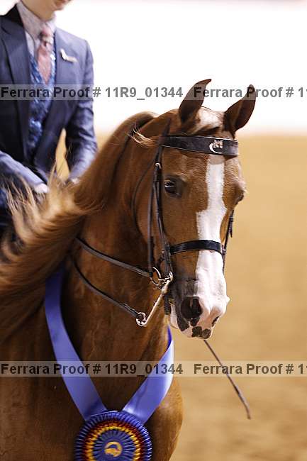 Proof 11r9_01344