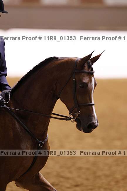 Proof 11r9_01353
