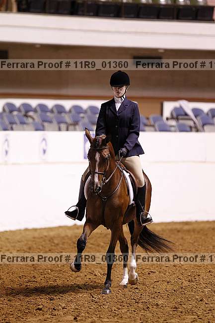 Proof 11r9_01360