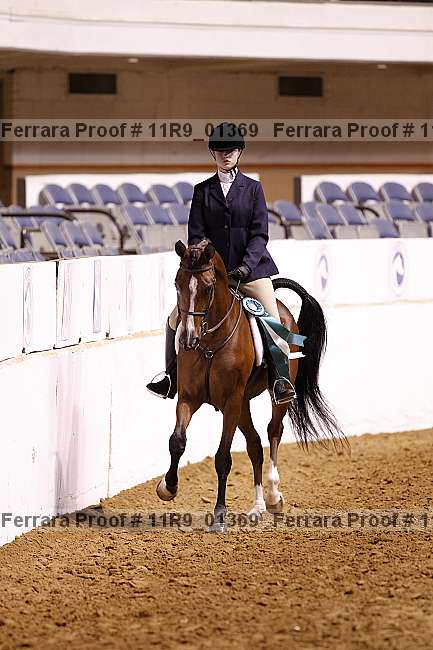 Proof 11r9_01369