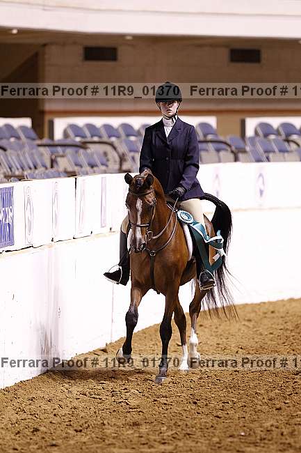 Proof 11r9_01370