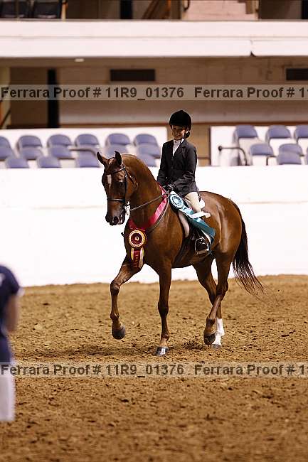 Proof 11r9_01376