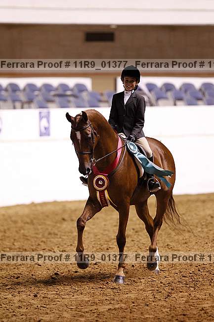 Proof 11r9_01377
