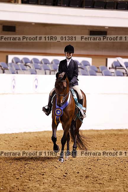 Proof 11r9_01381