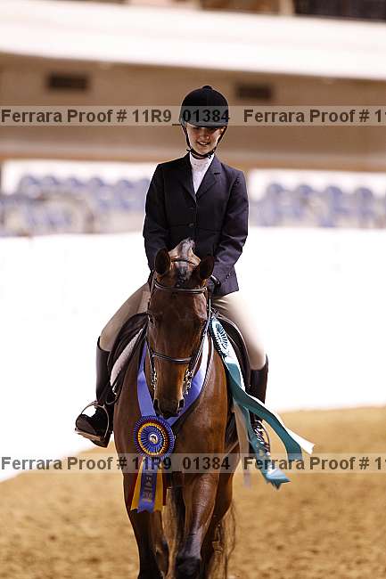 Proof 11r9_01384