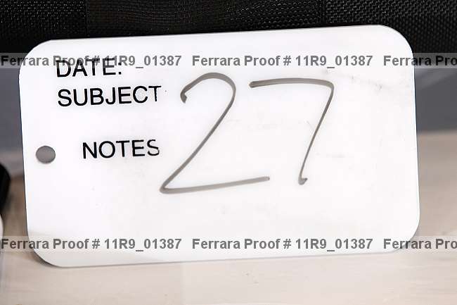 Proof 11r9_01387