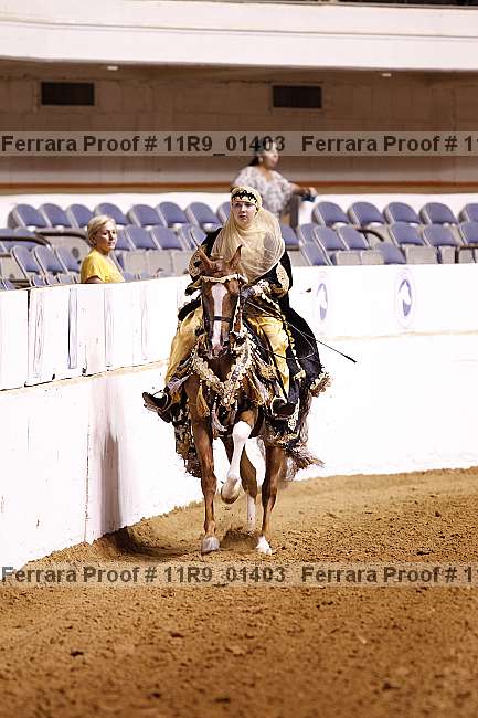 Proof 11r9_01403