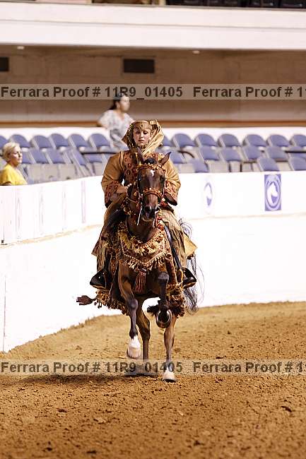 Proof 11r9_01405