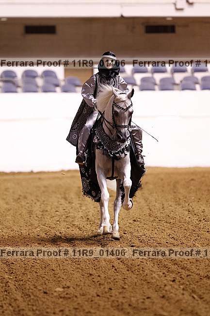 Proof 11r9_01406