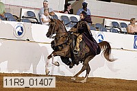 11r9_01407 proof
