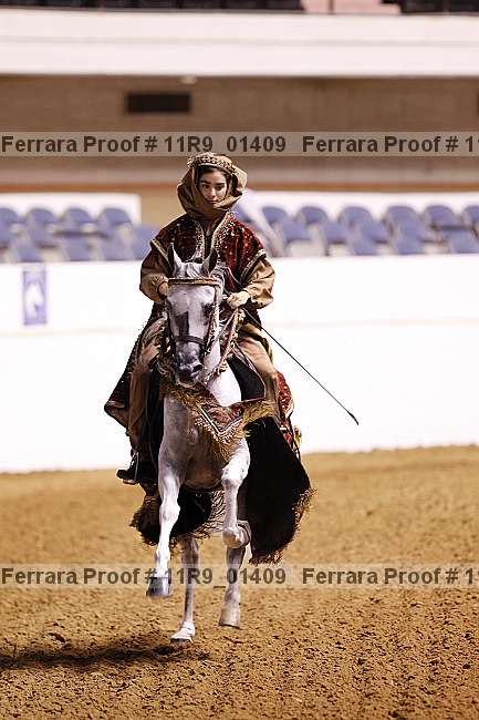 Proof 11r9_01409