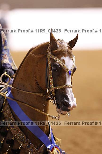 Proof 11r9_01426