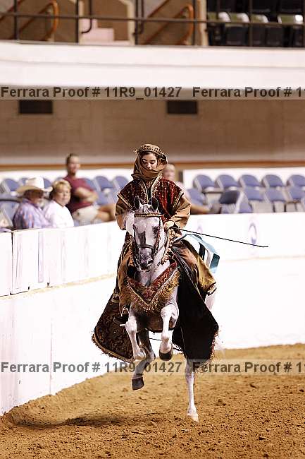 Proof 11r9_01427