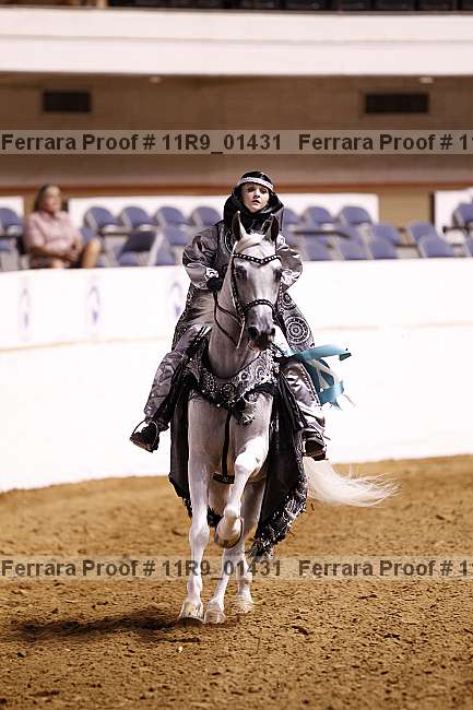 Proof 11r9_01431