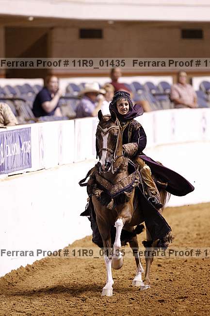 Proof 11r9_01435