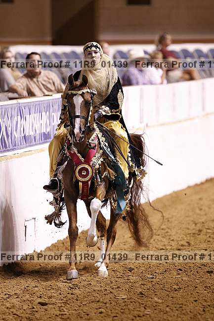 Proof 11r9_01439