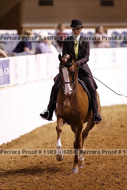 Proof 11r9_01460