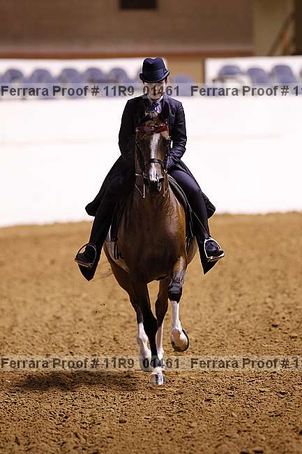 Proof 11r9_01461