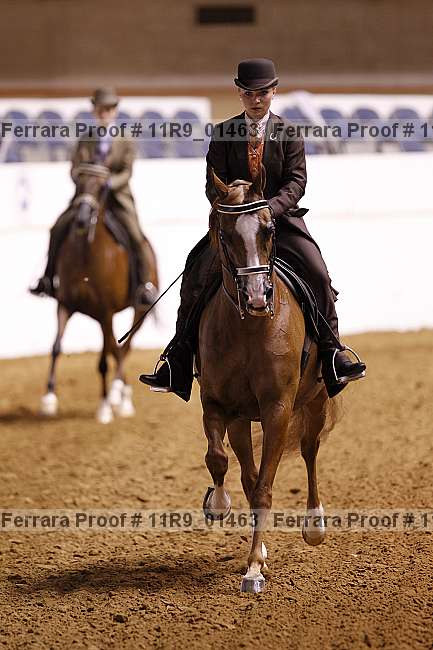 Proof 11r9_01463