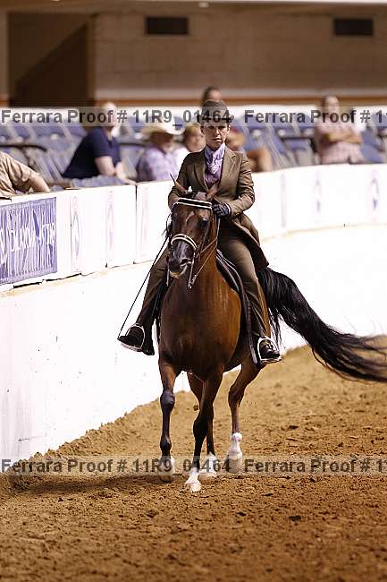Proof 11r9_01464