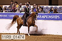11r9_01474 proof