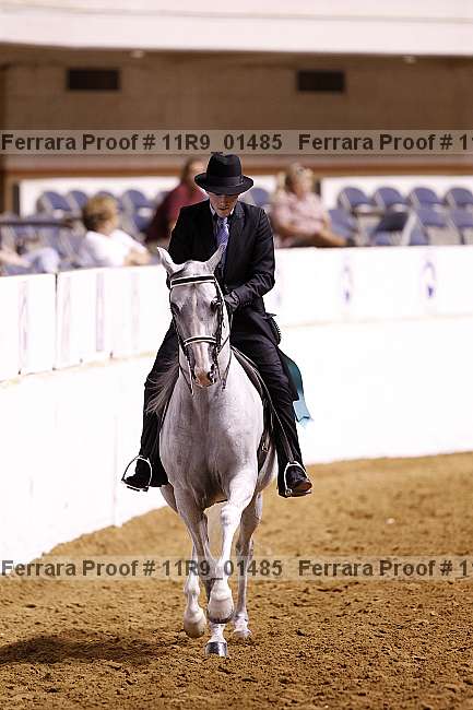 Proof 11r9_01485