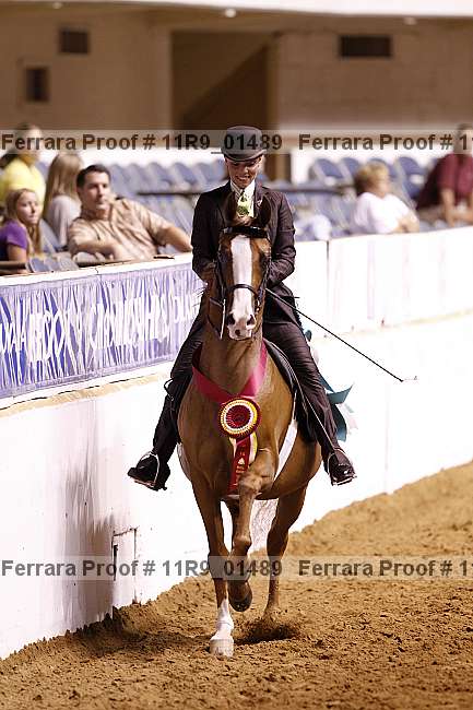 Proof 11r9_01489