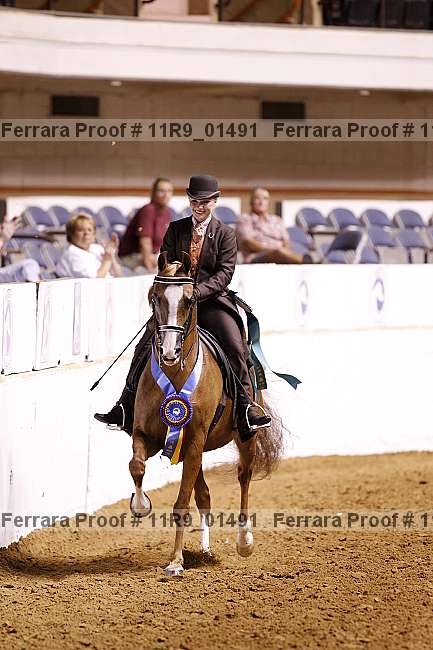Proof 11r9_01491