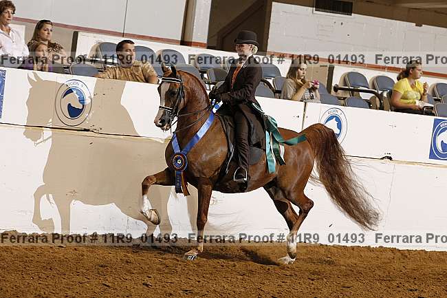 Proof 11r9_01493