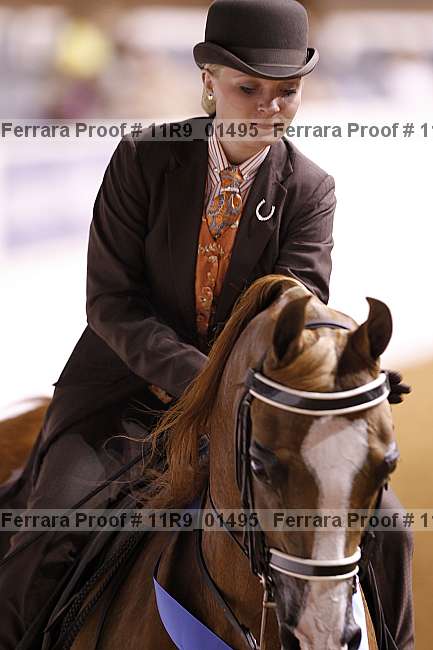 Proof 11r9_01495