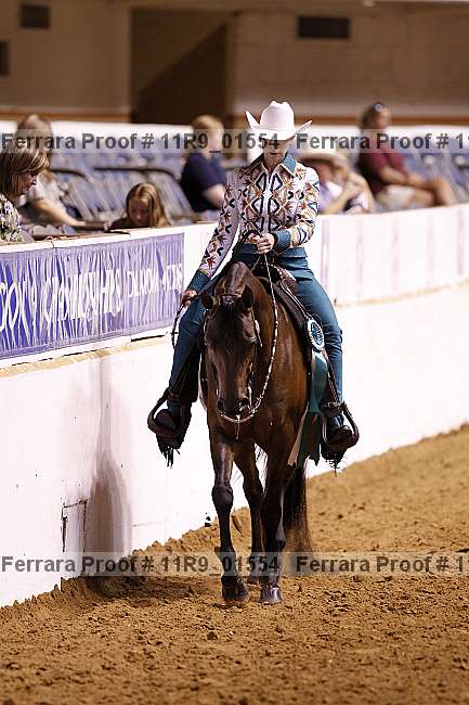 Proof 11r9_01554