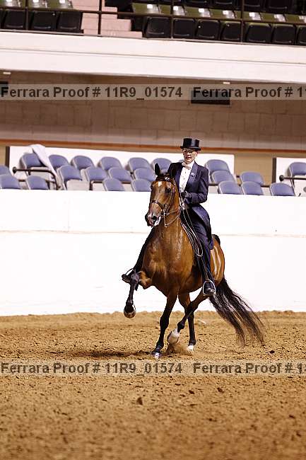 Proof 11r9_01574