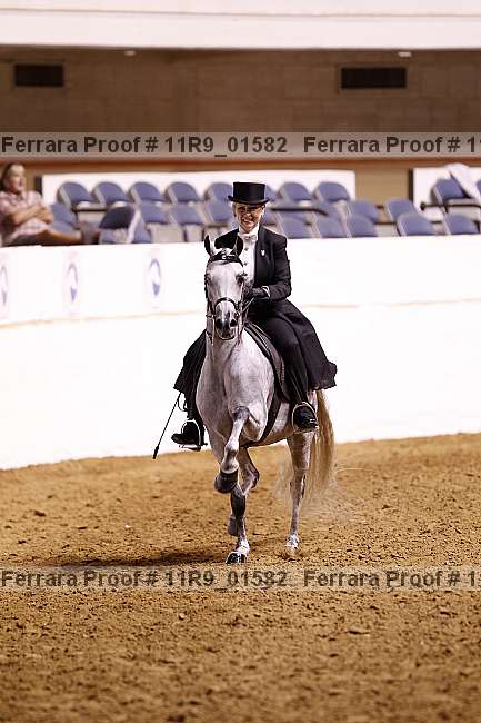 Proof 11r9_01582