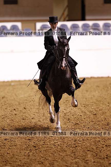 Proof 11r9_01584
