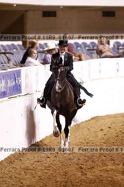 Proof 11r9_01607
