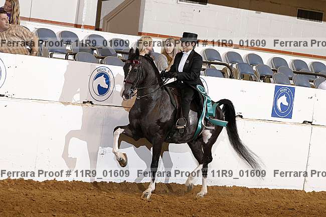 Proof 11r9_01609