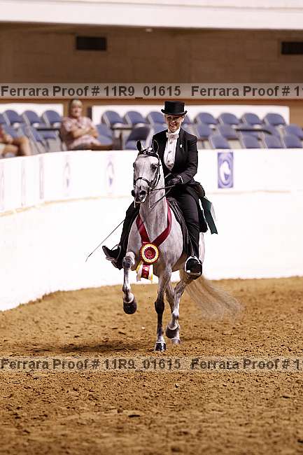 Proof 11r9_01615