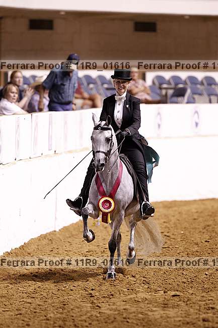 Proof 11r9_01616