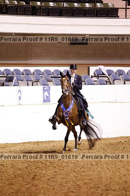 Proof 11r9_01619