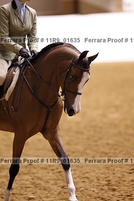 Proof 11r9_01635