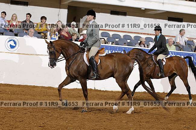 Proof 11r9_01653