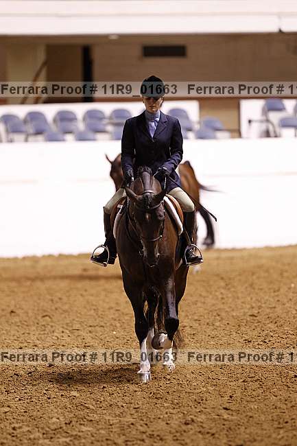Proof 11r9_01663